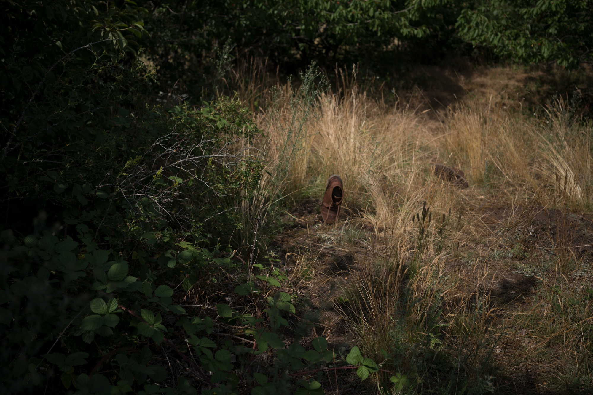 „Spaziergang“, 20x30cm, Fotografie, 2022